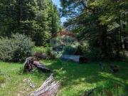 Venta Linda Parcela Curarrehue a 1 hora de Pucón