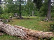 Venta Linda Parcela Curarrehue a 1 hora de Pucón