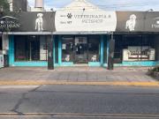 VENTA LOCAL COMERCIAL VILLA CABRERA