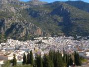 VENTA LOCAL COMERCIAL ZONA CALLEJONES