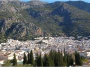 VENTA LOCAL COMERCIAL. ZONA CALLEJONES