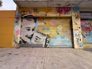 VENTA LOCAL/DEPOSITO CON OFICINA Y BAÑO. 295M²