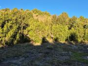 Venta lote 1000 m2 Meliquina San Martin de los Andes