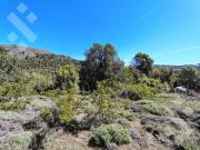 Venta lote 2500 m2 Cuesta de Sepulveda San Martin de los...