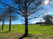 VENTA LOTE 2.88 HAS. COMERCIAL CAMPANA