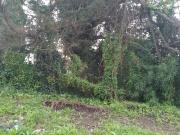 Venta lote 300 m2 en Bº Alfar a 10 cuadras del mar