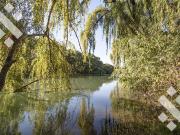 Venta Lote 353 m2 Prima Terra Centenario Neuquén