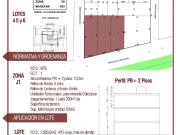 VENTA LOTE 3.959 m2 y 2 Casas VILLA RIVERA INDARTE