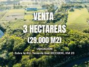 VENTA LOTE 3 HECTAREAS 29.000 M2 Sobre Autopista