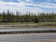 Venta lote 500m2 La Consuelo Centenario