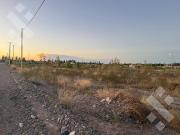 VENTA LOTE 765M2 APTO DESARROLLO PRIMATERRA CENTENARIO