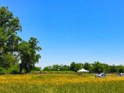 Venta Lote 800m2 Barrio Verde Las Moras Pontevedra