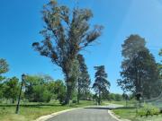 VENTA, LOTE A LA LAGUNA, SAN JUAN CHICO al 100