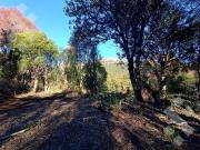 VENTA LOTE ALTOS DE CHAPELCO SAN MARTÍN DE LOS ANDES