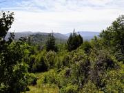 VENTA LOTE BARRIO KALEUCHE SAN MARTIN DE LOS ANDES