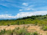 Venta lote Campestre Cerritos la Virginia
