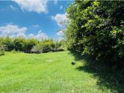 VENTA LOTE CAMPESTRE PLANO FUERA DE CONDOMINIO LA...