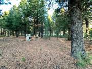 VENTA LOTE CLUB DE CAMPO DOS VALLES BARILOCHE