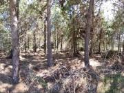 Venta Lote Costa Esmeralda GOLF 2 300 mts del mar...