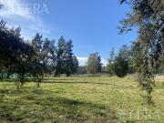 Venta lote de 1639 m2 en Club de Campo Miralagos 1