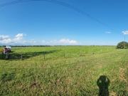 VENTA LOTE DE 1O HECTAREAS