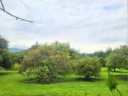 Venta lote de terreno en Guayllabamba