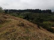 Venta LoteS en Caldas La Miel Antioquia