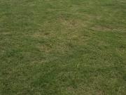 Venta lote en fincas don eugenio 2