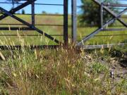 VENTA LOTE EN JUANA URBANA YACANTO CALAMUCHITA