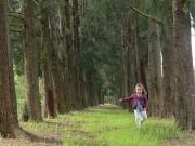 Venta Lote en La Estela Pilar