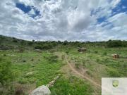 Venta Lote en Panaholma a 100m del rio. Oportunidad T129PA