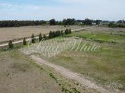 Venta Lote en Tiempos de Canning