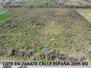 VENTA LOTE EN ZARATE