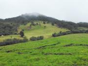 Venta Lote, la Calera Cundinamarca 31.294m2