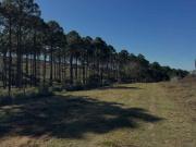 VENTA LOTE LA TORCACITA POTRERO DE GARAY VENTA LOTE LA TORCACITA POTRERO DE GARAY