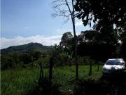 Venta Lote Las Margaritas Caldas