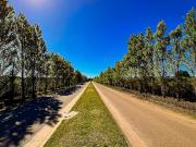 VENTA | LOTE LAS PRUNAS | 695mts