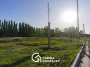 Venta lote Loteo La Consuelo Centenario Neuquén Venta lote Loteo La Consuelo Centenario Neuquén