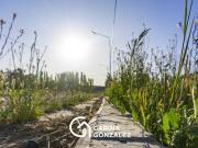 Venta lote Loteo La Consuelo Centenario Neuquén