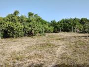 Venta Lote para desarrollar hotel en el corazon de la...