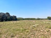 VENTA LOTE PILAR, BARRIO EL FUNDADOR! OPORTUNIDAD!