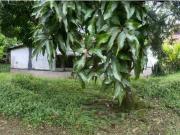 VENTA LOTE POBLADO TRANSVERSAL SUPERIOR