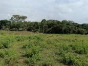 Venta Lote Potrerito Jamundi