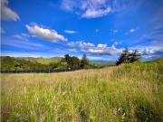 Venta Lote Privacidad Vista y Bosque Parcelacion Alto Palmas