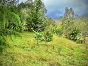 Venta Lote Semi Parcelacion Sector Fizebad Retiro