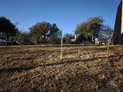 VENTA LOTE TEJAS 4 CON SEGURIDAD 350M GAS ETAPA 1