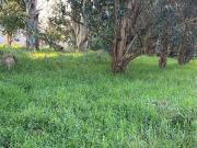 VENTA LOTE TERRENO 637 m2 LOS ACANTILADOS