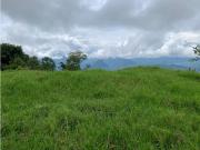 VENTA LOTE, TMESIS PALERMO SUROESTE ANTIOQUEÑO