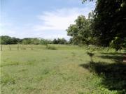 VENTA LOTE URBANO PURIFICACIÓN