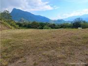 VENTA LOTE VENECIA suroeste antioqueño